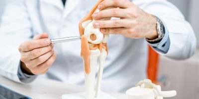 Close-up of the therapist showing knee joint model during the medical consultation